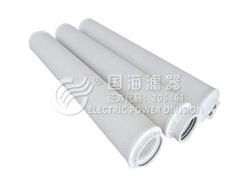 頗爾大流量濾芯40寸10微米